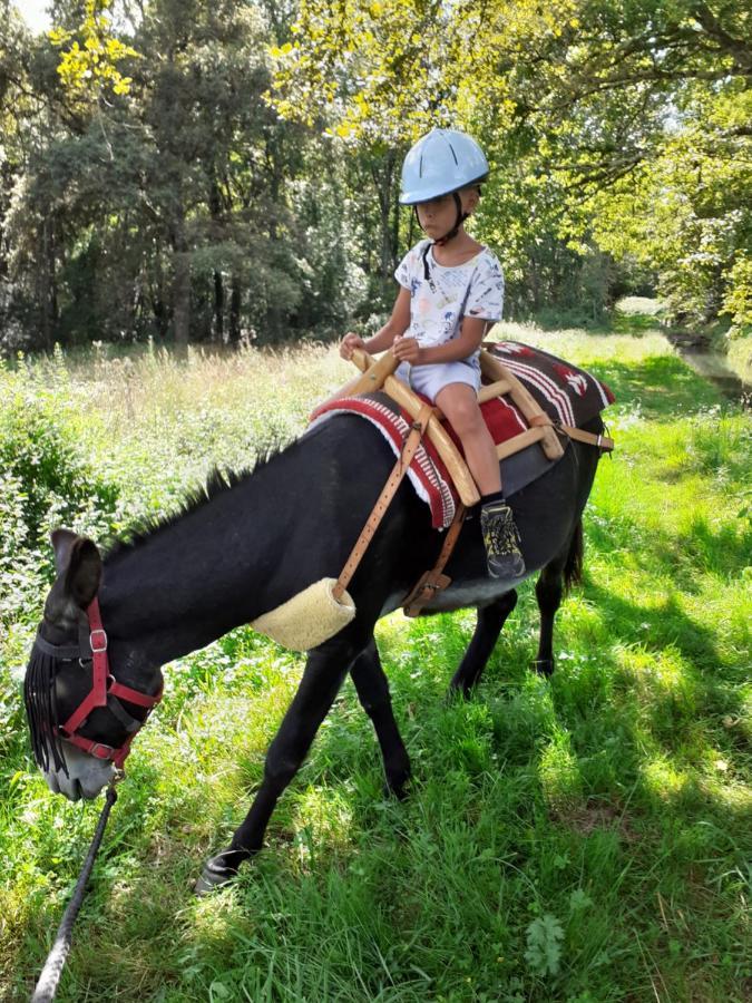 Franquevielle Gite En Comminges מראה חיצוני תמונה